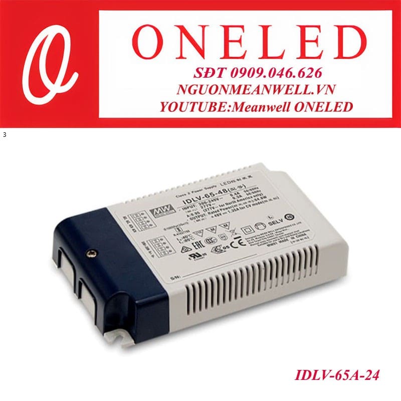 Bộ nguồn dạng tĩnh IDLV-65A-24